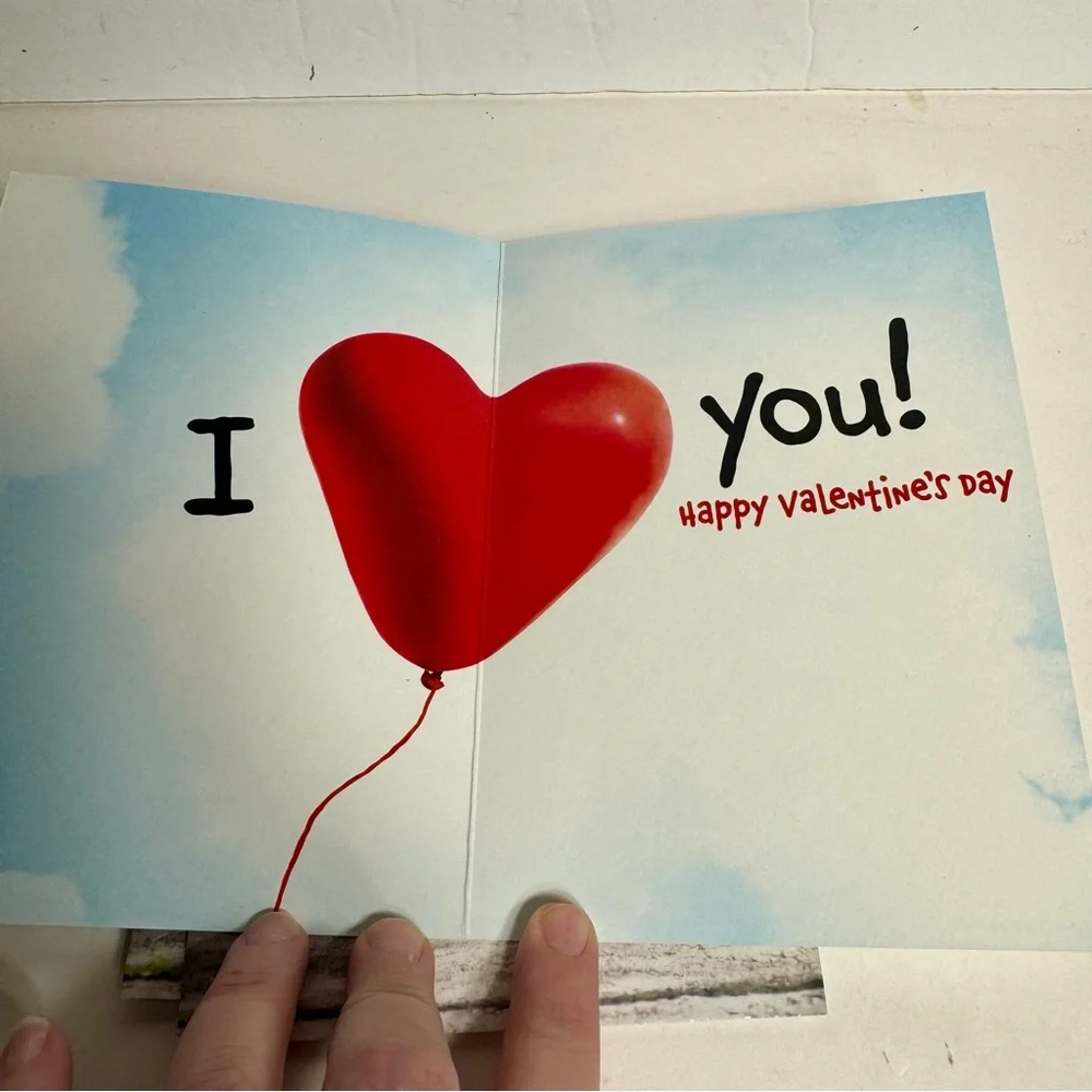 6 Avanti Greeting cards- hamster gerbil red balloon Holiday: Valentines Day